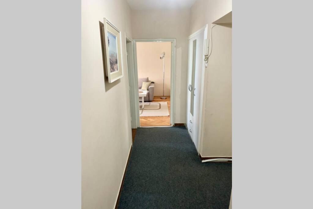 Cute, Spacious Apt In The Heart Of The Old Town Podgorica Exterior foto